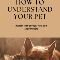 How to Understand Your Pet