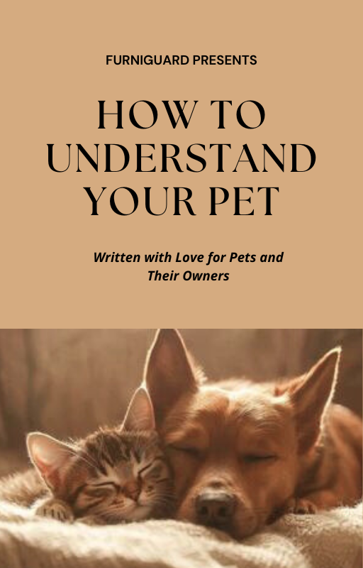 How to Understand Your Pet