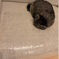 FurniGuard™ Pet Scratch Protector