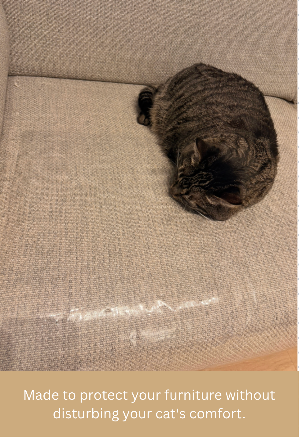 FurniGuard™ Pet Scratch Protector